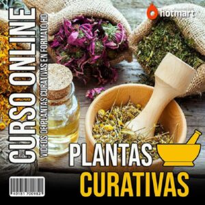 Aprende Todo Sobre Plantas Curativas